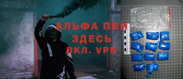 СК Алексин