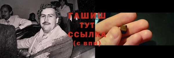 гидра Алексеевка