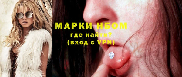 СК Алексин